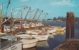 Virginia Hampton Hampton City Docks