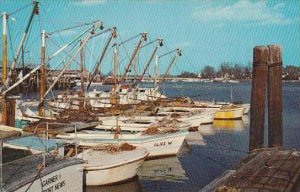 Virginia Hampton Hampton City Docks