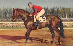 Champion Citation at Hialeah Race Course Miami, Florida  