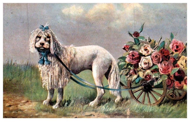 Dog ,  Dog pulling wagon of flowers