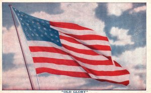 Vintage Postcard 1920's Old Glory Pledge Allegiance To Flag And To The Republic