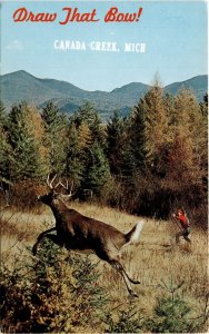 CANADA CREEK, MICH, Ozzie Sweet, New Canaan, Conn., Postcard