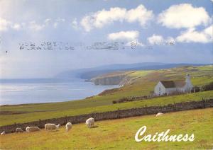 uk36798 caithness scotland  uk lot 8 uk