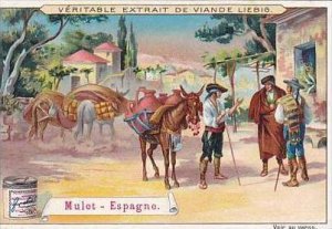 Liebig Vintage Trade Card S602 Beasts Of Burden 1899 Mule Spain