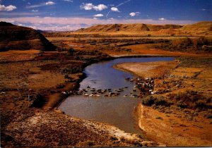 Canada Alberta Pinhorn Grazing Reserve Milk River cattle Drive