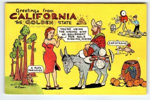 Greetings From California Linen Postcard Donkey Minor H Dean Kropp Unused