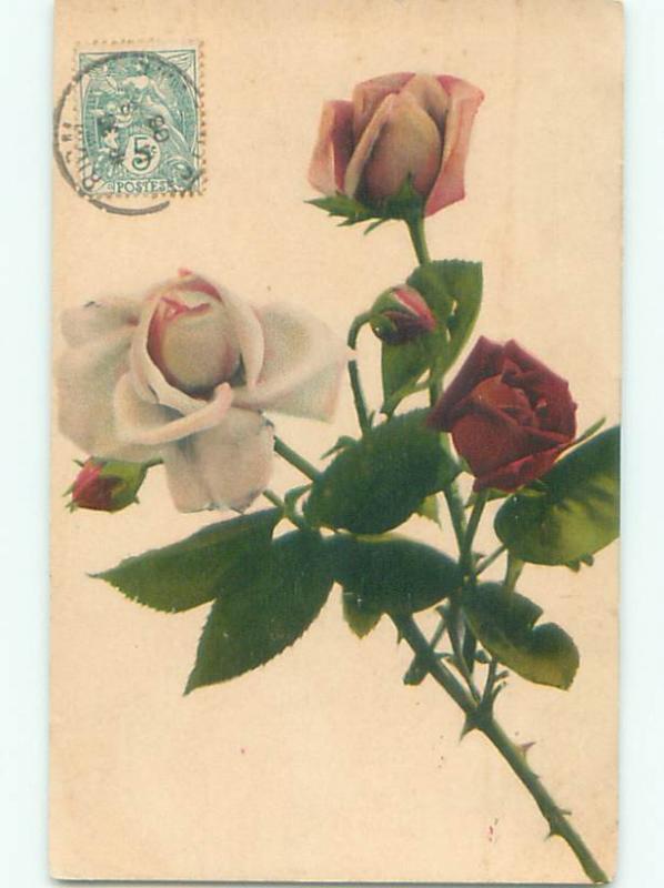 Very Old Foreign Postcard BEAUTIFUL FLOWERS SCENE AA4721