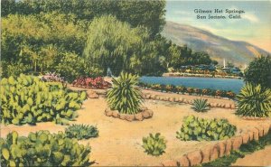 California Riverside Gilman's Hot Springs Postcard Montgomery Tichnor 20-10966