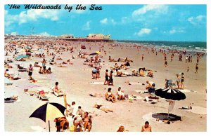 Postcard BEACH SCENE Wildwood New Jersey NJ AT5075