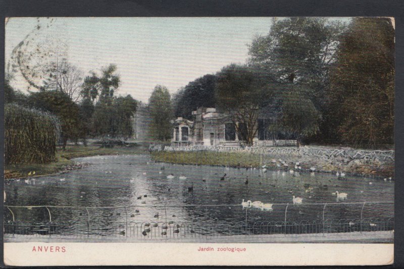 Belgium Postcard - Anvers - Jardin Zoologique  DC1201