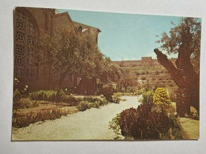 UNUSED ISRAEL POSTCARD - JERUSALEM GARDEN OF GETHSEMANE  (KK3625) 