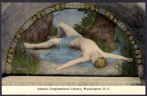 Adonis,Congressional Library,Washington,DC