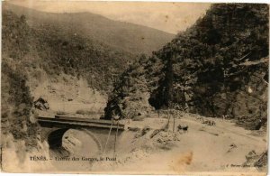 CPA AK Algérie-Ténés-Entré des Gorges le Pont (237013)