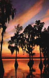 Postcard Cypress Garden Mauve & Orange Mix And Mingle Spectacular Sunset Florida