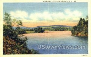 Goodyear Lake - Oneonta, New York NY  