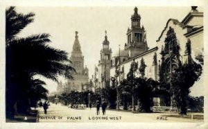 Real Photo, Ave. of Palms - San Francisco, CA