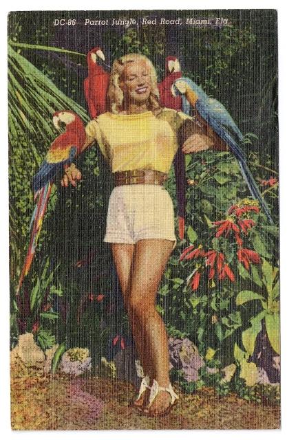 FL Miami Parrot Jungle Pin up Pretty Girl Vintage Advertisement Postcard