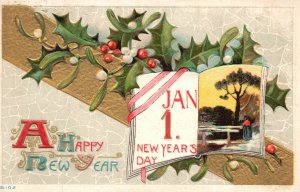A Happy New Year Greetings Card January 1 Book Holly Berry Vintage Postcard 1911