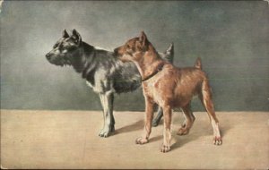 Pair of Terrier Dogs Series #215 c1910 Postcard