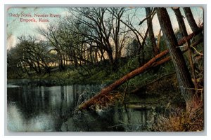 1908 Postcard Shady Nook Neosho River Emporia Kansas Vintage Standard View Card 