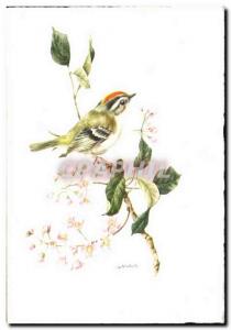 Modern Postcard Greetings bird