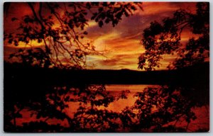 Vtg Roscommon Michigan MI Sunset on Higgins Lake State Park 1950s View Postcard