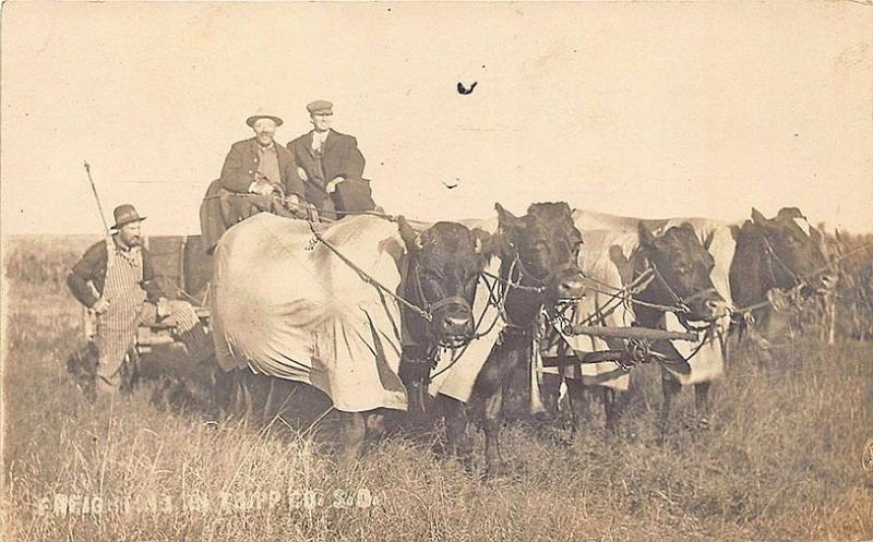 Jordan Tripp County SD Freight Hauling RPPC Postcard