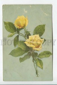 3184923 Yellow ROSES Two Flowers DEATH Vintage Color postcard