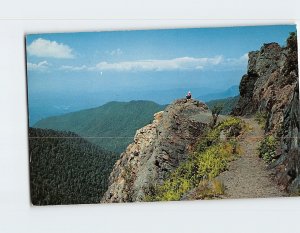 Postcard Charlie's Bunion Great Smoky Mountains National Park Tennessee USA