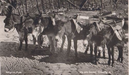 Farmer With Horse Riding Fence Twelve O Clock Lunch Antique Real Photo Postcard