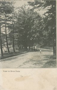 TORONTO, Ontario, 1900-10s; View in High Park