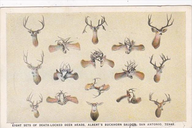 Texas San Antonio Eight Sets Of Death Locked Deer Heads Albert's Buckhorn Saloon