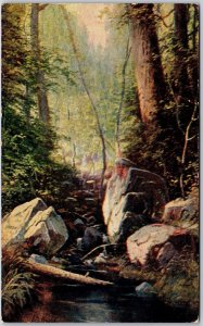 River Banks Trees Nature Rocks Scenic Picturesque View Postcard