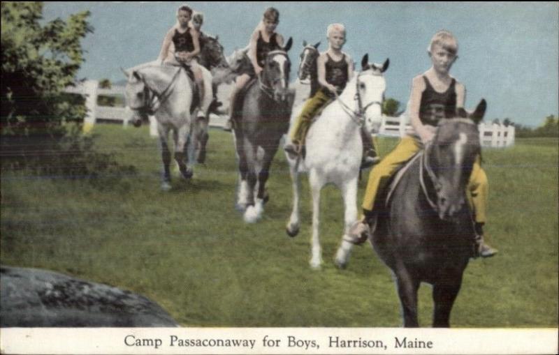 Harrison ME Camp Passaconaway For Boys Horse Riding Postcard