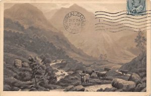 Cattle by Stream Cow 1904 postal marking on front, stamp on front