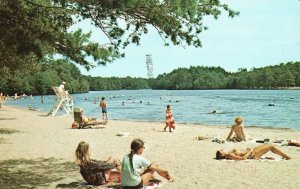 Vintage Postcard 1993 Beach Lake Nummy Belleplain State Forest Park Cape May NJ