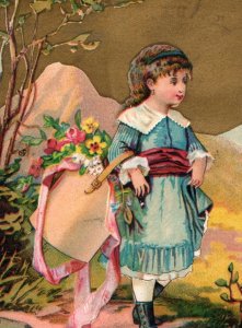 1885 Julius L. Straus Fancy Goods Bazaar Owego NY F189-