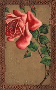 Vintage Postcard Large Print Rose Flower With Golden Border Greetings Wishes