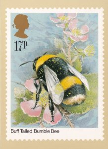 Bumble Bee Rare PHQ Postcard