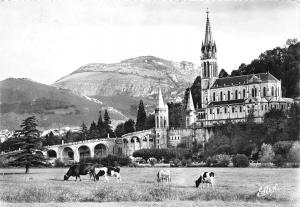 BR20754 La basilique et le pic du jer lourdes France