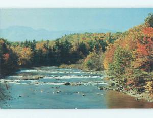 Unused 1950's GREETINGS FROM - TROUT FISHING RIVER Oneonta New York NY Q8549