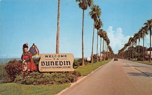 Dunedin's Famous Edgewater Drive Clearwater, Florida  