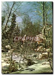 Postcard Modern Morzine Forest in the Snow