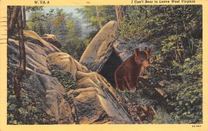 Black Bear Hunting - Misc, West Virginia WV  