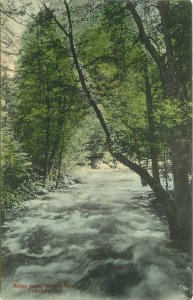 C-1910 Yosemite California NP hand colored Rieder #6687 Postcard 21-9511
