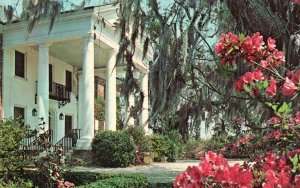 Vintage Postcard Boone Hall Plantation Christ Church Charleston South Carolina