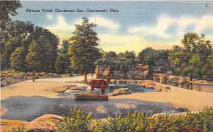 Cincinnati Ohio 1940s Linen Postcard African Veldt Zoological Gardens Zoo