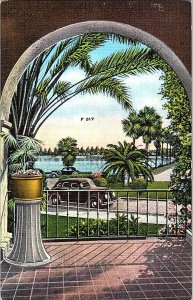 Beautiful Vista In Sunny Florida Postcard Standard View Card Old Cars