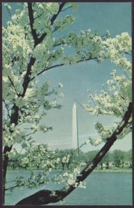 Washington Monument,Washington,DC Postcard