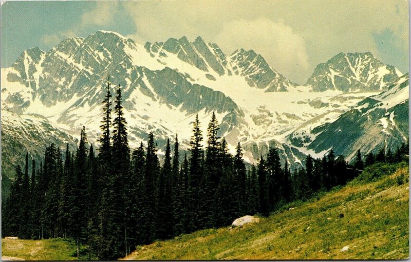 British Columbia Canada BC Rogers Pass Swiss Peak Hermit Mountain Postcard UNP 